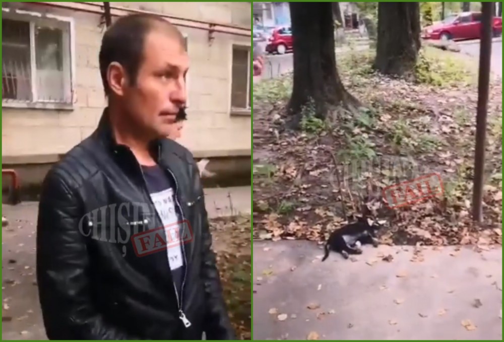 VIDEO (18+) // REVOLTĂTOR: Un locuitor al capitalei a aruncat un câine de la etajul patru